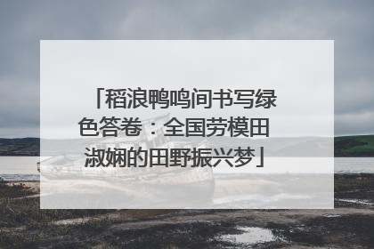 稻浪鸭鸣间书写绿色答卷：全国劳模田淑娴的田野振兴梦