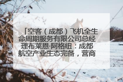 空客（成都）飞机全生命周期服务有限公司总经理布莱恩·阿格纽：成都航空产业生态完备，营商环境优势显著