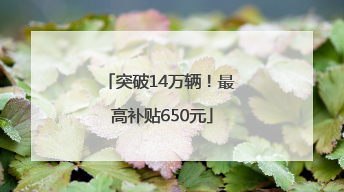 突破14万辆！最高补贴650元