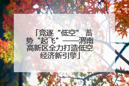 竞逐“低空” 蓄势“起飞”——渭南高新区全力打造低空经济新引擎