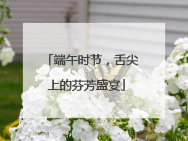 端午时节，舌尖上的芬芳盛宴