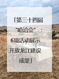 第三十四届“哈洽会”：6项活动展示开放龙江建设成果