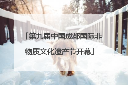 第九届中国成都国际非物质文化遗产节开幕