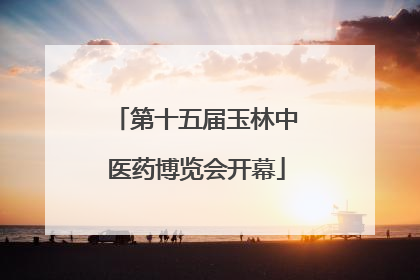 第十五届玉林中医药博览会开幕
