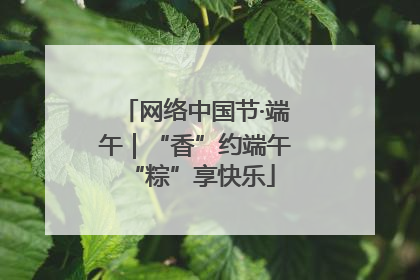 网络中国节·端午｜“香”约端午 “粽”享快乐
