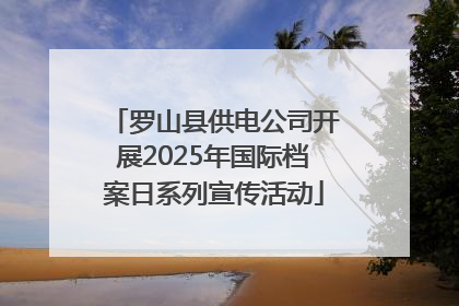罗山县供电公司开展2025年国际档案日系列宣传活动