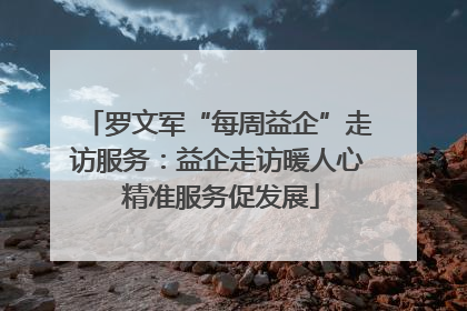 罗文军“每周益企”走访服务：益企走访暖人心 精准服务促发展