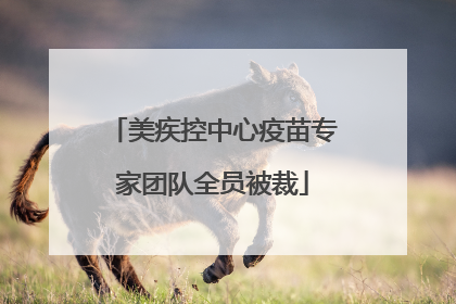美疾控中心疫苗专家团队全员被裁
