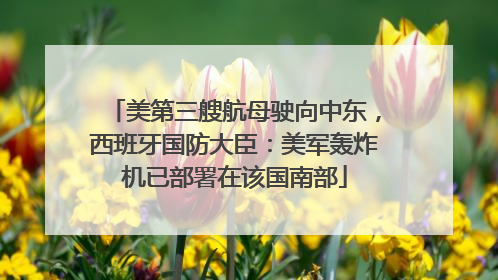 美第三艘航母驶向中东，西班牙国防大臣：美军轰炸机已部署在该国南部