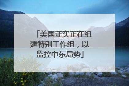美国证实正在组建特别工作组，以监控中东局势