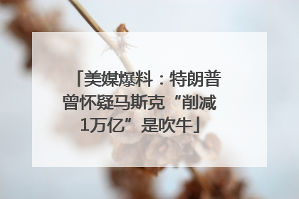 美媒爆料：特朗普曾怀疑马斯克“削减1万亿”是吹牛
