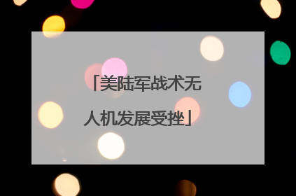美陆军战术无人机发展受挫