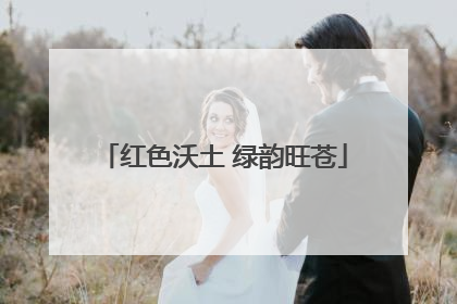 红色沃土 绿韵旺苍