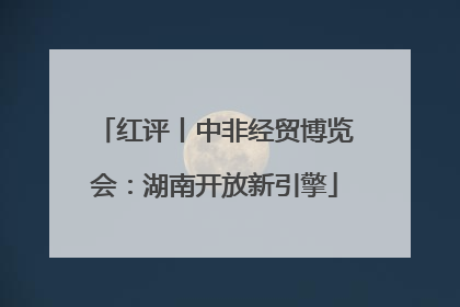 红评丨中非经贸博览会：湖南开放新引擎