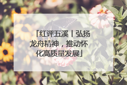 红评五溪丨弘扬龙舟精神，推动怀化高质量发展