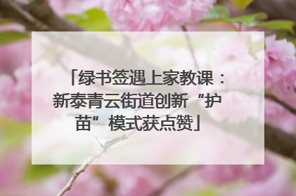 绿书签遇上家教课：新泰青云街道创新“护苗”模式获点赞