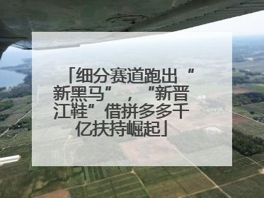 细分赛道跑出“新黑马”，“新晋江鞋”借拼多多千亿扶持崛起