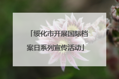 绥化市开展国际档案日系列宣传活动