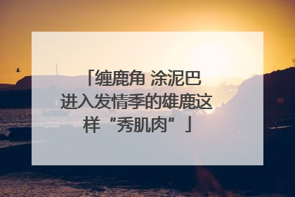 缠鹿角 涂泥巴 进入发情季的雄鹿这样“秀肌肉”