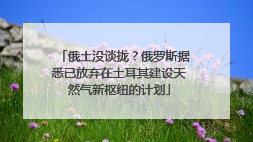 俄土没谈拢？俄罗斯据悉已放弃在土耳其建设天然气新枢纽的计划