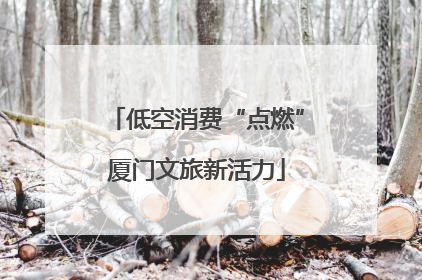 低空消费“点燃”厦门文旅新活力