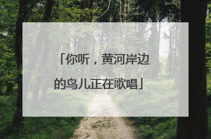 你听，黄河岸边的鸟儿正在歌唱