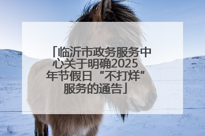 临沂市政务服务中心关于明确2025年节假日“不打烊”服务的通告