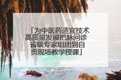 为中医药适宜技术高质量发展把脉问诊 省级专家组团到自贡现场教学授课
