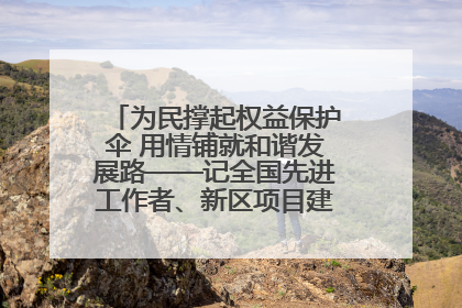 为民撑起权益保护伞 用情铺就和谐发展路——记全国先进工作者、新区项目建设中心干部卢小勇