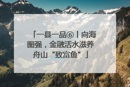 一县一品⑥丨向海图强，金融活水滋养舟山“致富鱼”