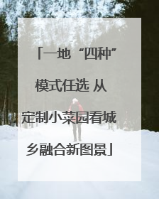 一地“四种” 模式任选 从定制小菜园看城乡融合新图景