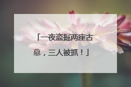 一夜盗掘两座古墓，三人被抓！