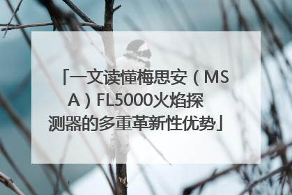 一文读懂梅思安（MSA）FL5000火焰探测器的多重革新性优势