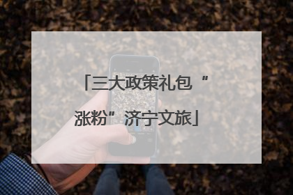 三大政策礼包“涨粉”济宁文旅