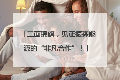 三面锦旗，见证振森能源的“非凡合作”！
