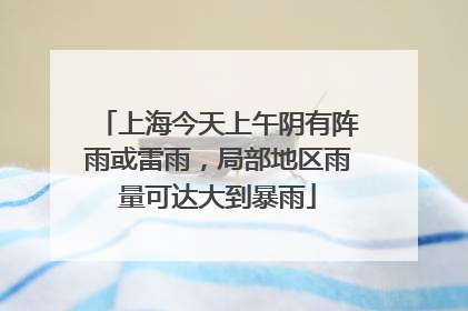 上海今天上午阴有阵雨或雷雨，局部地区雨量可达大到暴雨