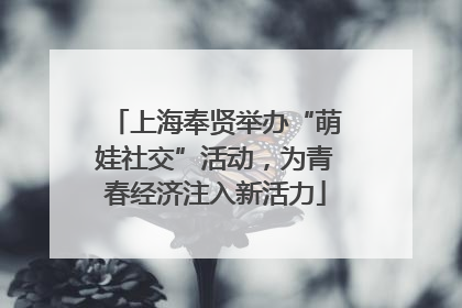 上海奉贤举办“萌娃社交”活动，为青春经济注入新活力