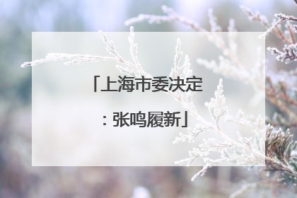 上海市委决定：张鸣履新