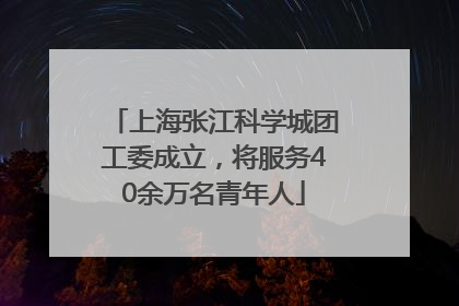 上海张江科学城团工委成立，将服务40余万名青年人