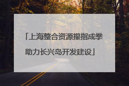 上海整合资源攥指成拳助力长兴岛开发建设