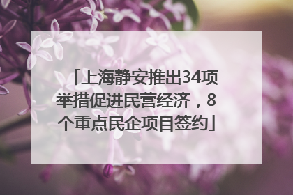 上海静安推出34项举措促进民营经济，8个重点民企项目签约