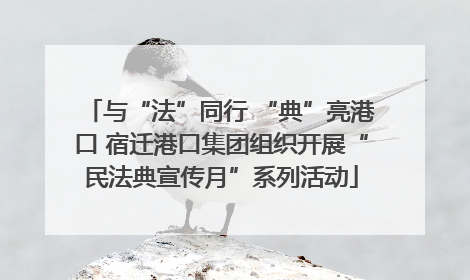 与“法”同行 “典”亮港口 宿迁港口集团组织开展“民法典宣传月”系列活动
