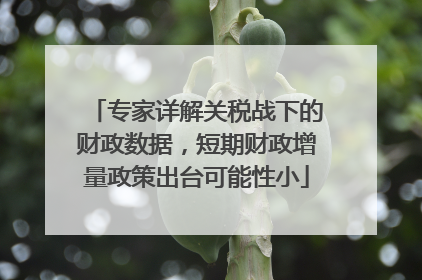 专家详解关税战下的财政数据，短期财政增量政策出台可能性小