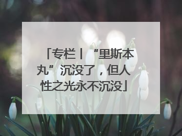 专栏丨“里斯本丸”沉没了，但人性之光永不沉没