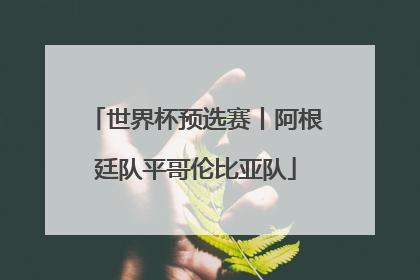 世界杯预选赛丨阿根廷队平哥伦比亚队