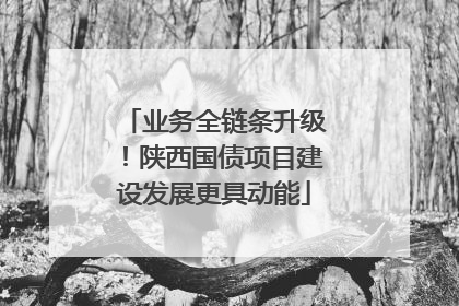 业务全链条升级！陕西国债项目建设发展更具动能