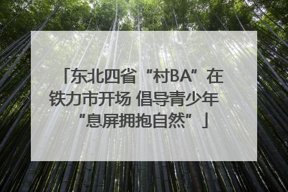 东北四省“村BA”在铁力市开场 倡导青少年“息屏拥抱自然”