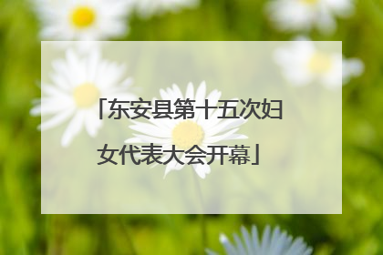 东安县第十五次妇女代表大会开幕