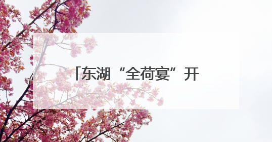 东湖“全荷宴”开席，一口吃掉夏天