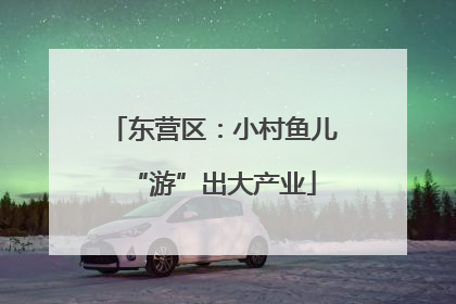 东营区：小村鱼儿“游”出大产业